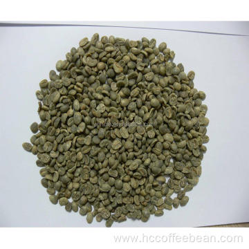 mesh 14 up yunnan green coffee beans